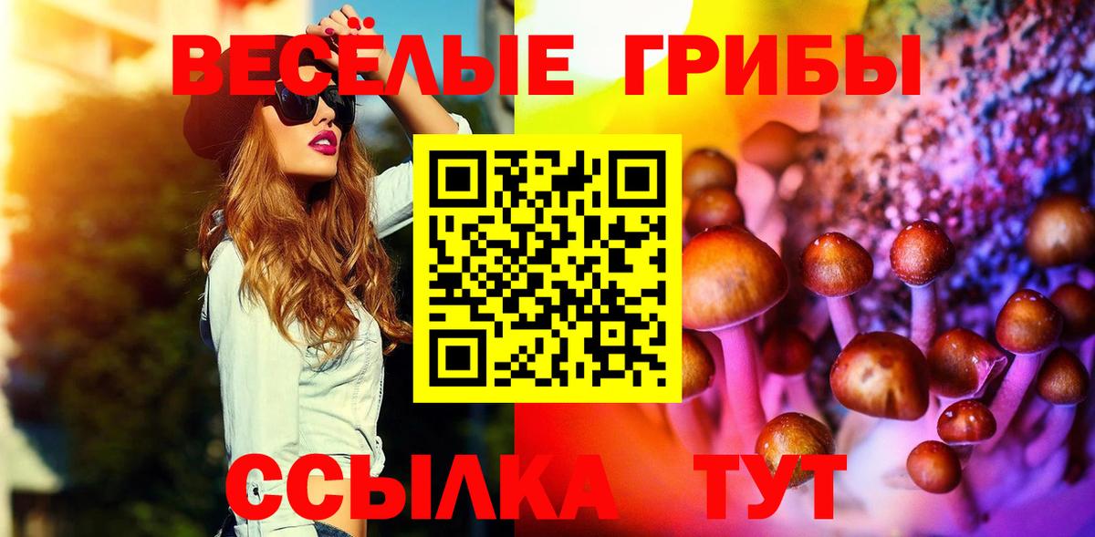 Галлюциногенные грибы Magic Shrooms  Вход с VPN  Галлюциногенные грибы Psilocybe  Рязань 